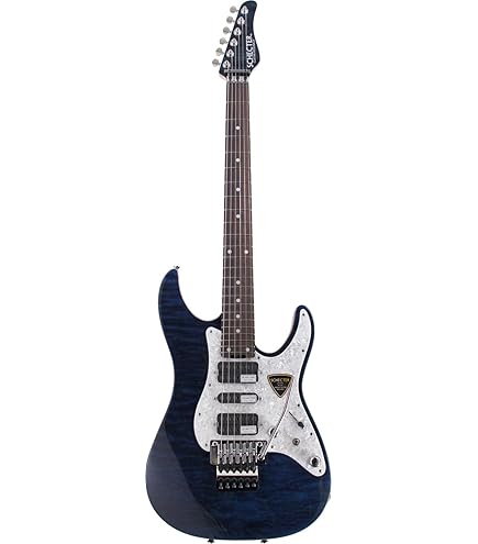 Amazon | Schecter シェクター 1922 Hellraiser Hybrid C-1 TBB エレキ